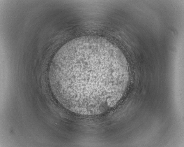 X0000111640769200908281156