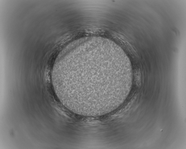 X0000111640770200908281156