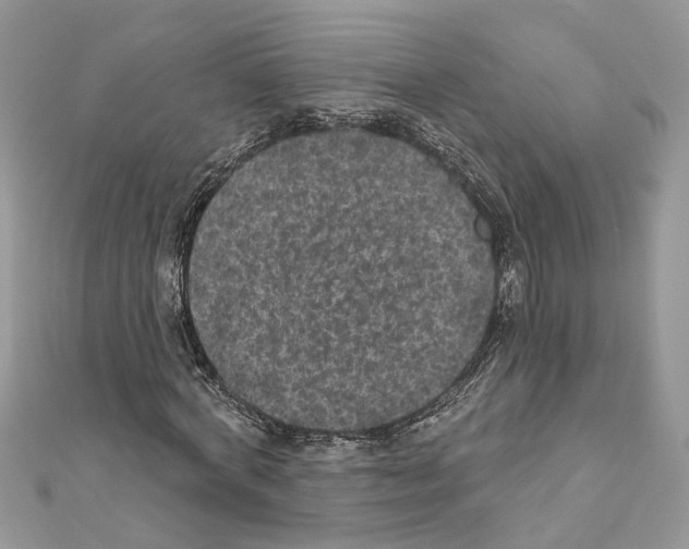 X0000111640772200908281156