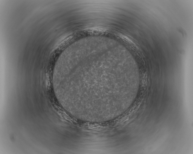 X0000111640774200908281156