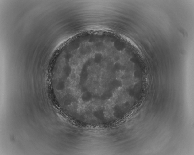 X0000111640775200908281156