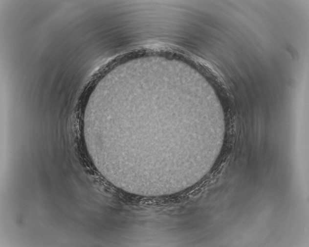 X0000111640776200908281156