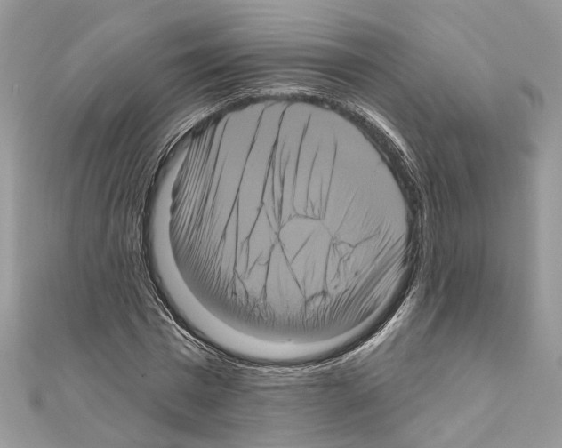 X0000111640777200908281156