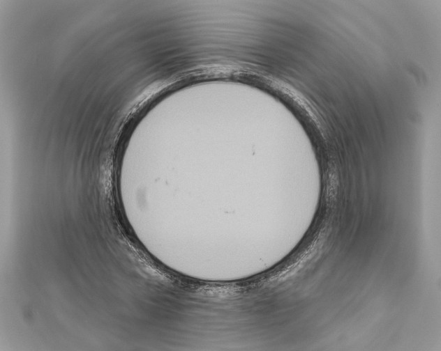 X0000111640778200908281156