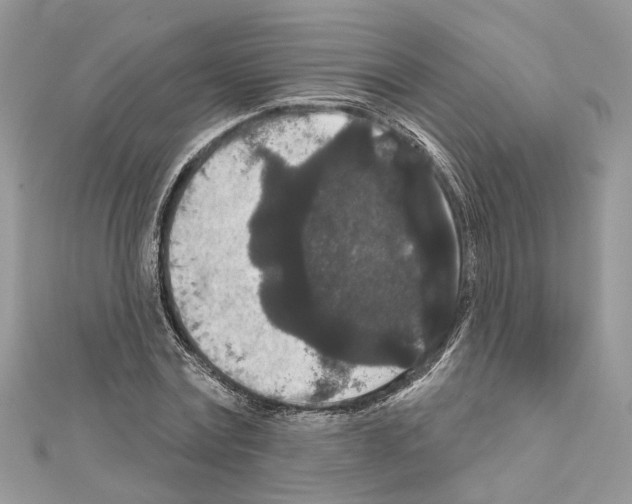 X0000111640779200908281156