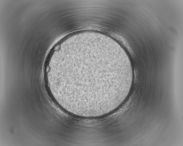 X0000111640780200908281156