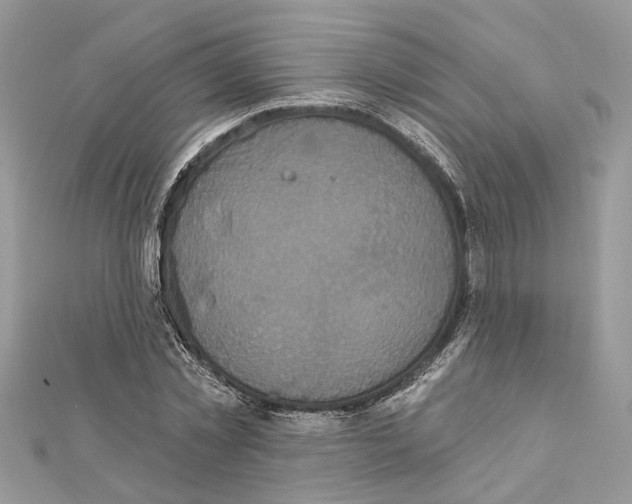 X0000111640781200908281156