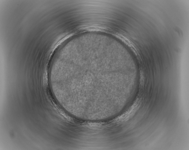 X0000111640782200908281156