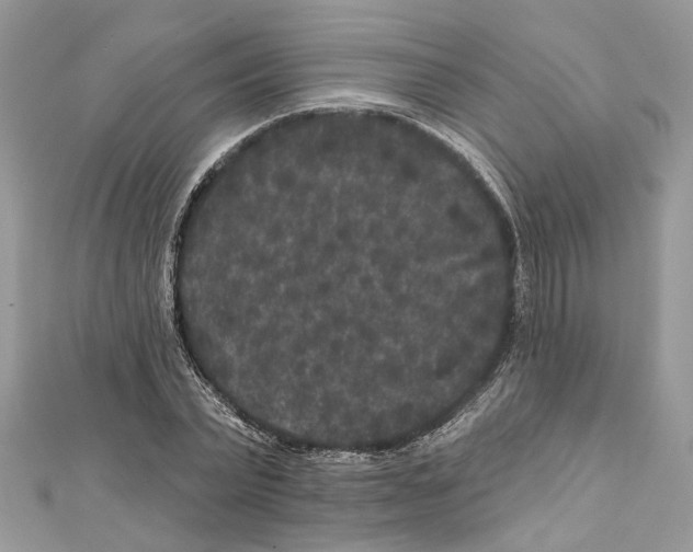 X0000111640783200908281156