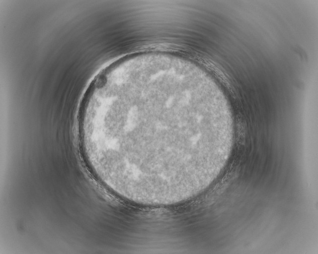 X0000111640784200908281156