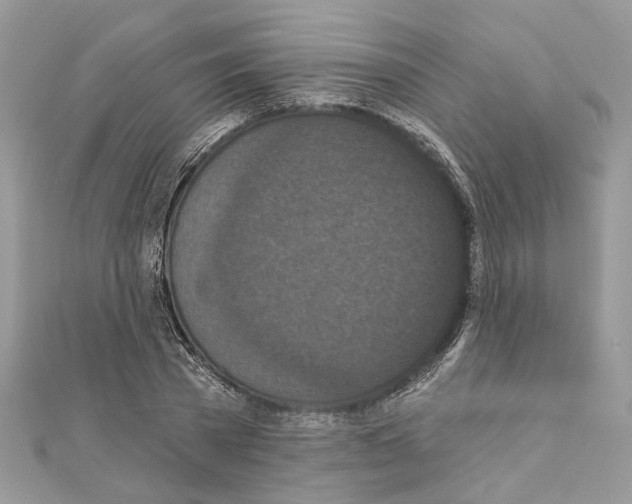 X0000111640785200908281156