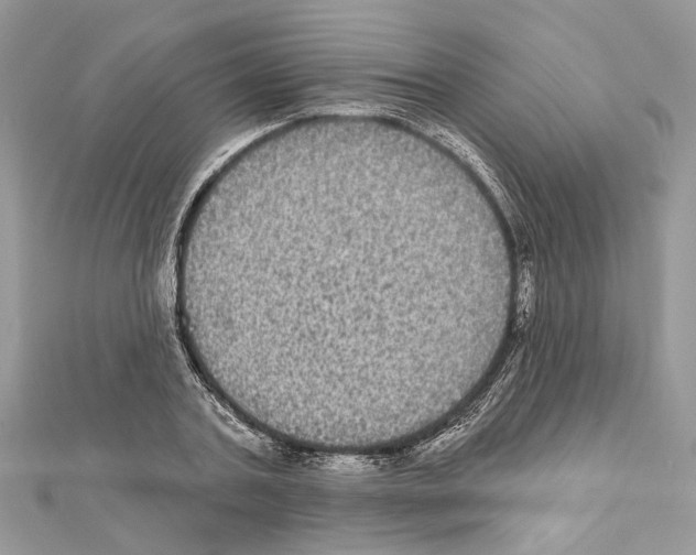 X0000111640787200908281156
