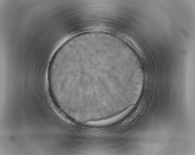 X0000111640788200908281156