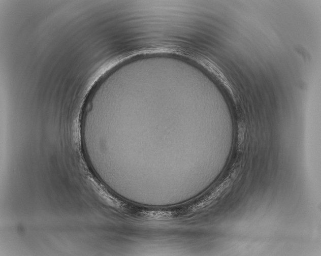 X0000111640789200908281156