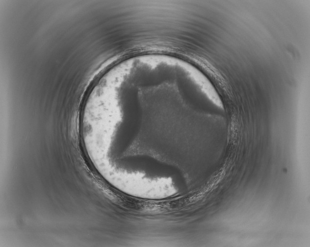 X0000111640790200908281156