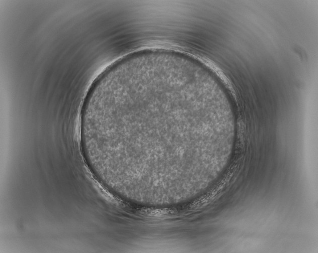X0000111640791200908281156