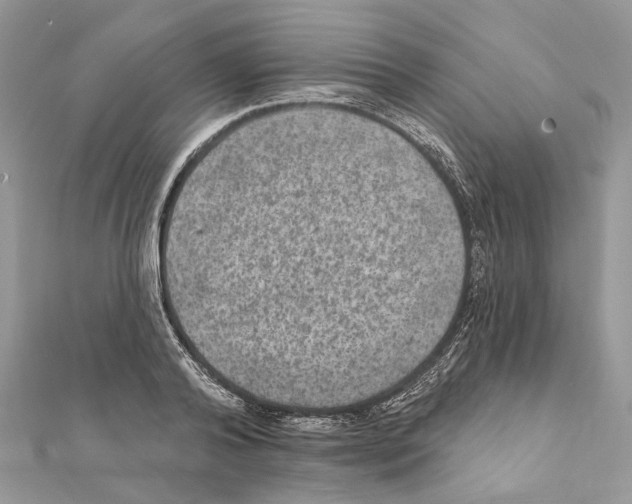 X0000111640792200908281156