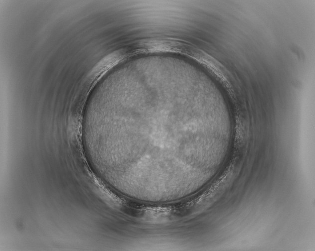 X0000111640793200908281156