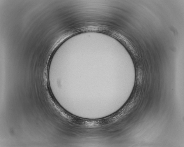 X0000111640794200908281156