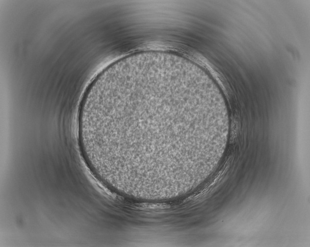 X0000111640795200908281156