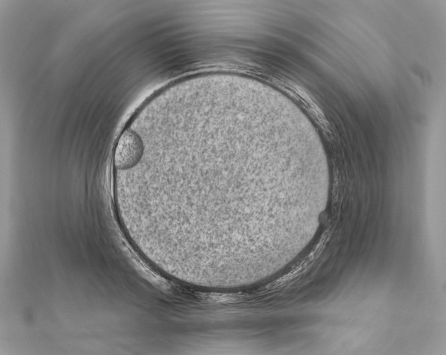 X0000111640796200908281156
