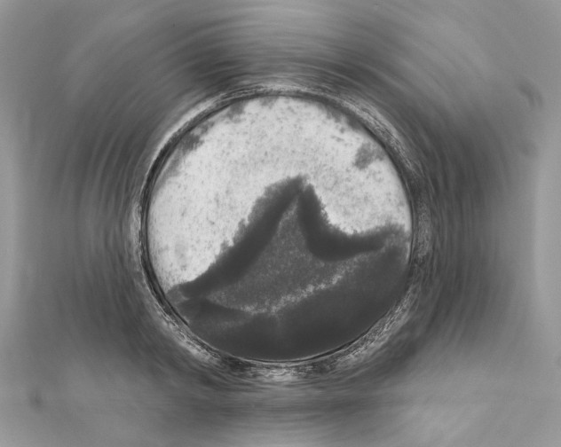 X0000111640798200908281156