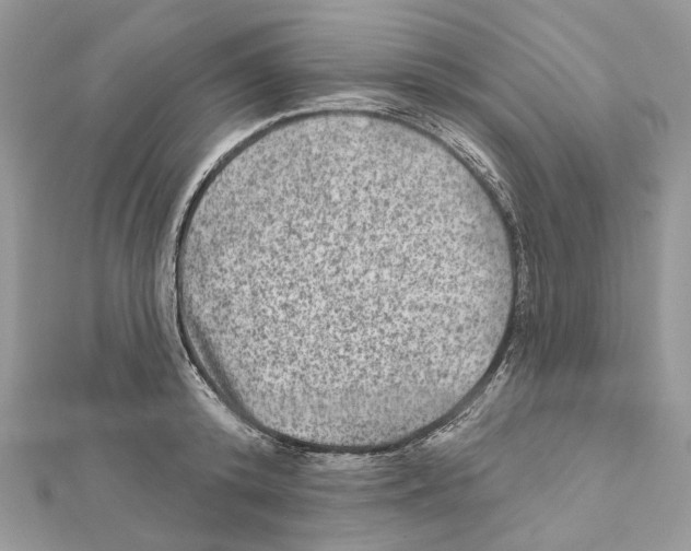 X0000111640800200908281156