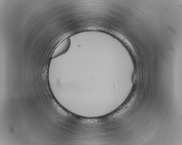 X0000111640801200908281156