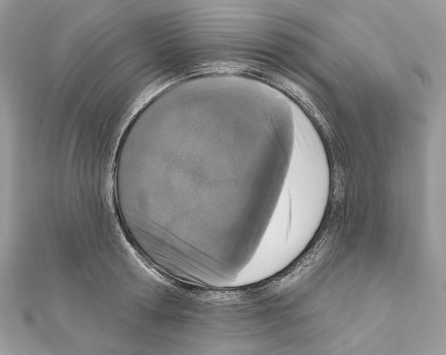 X0000111640802200908281156