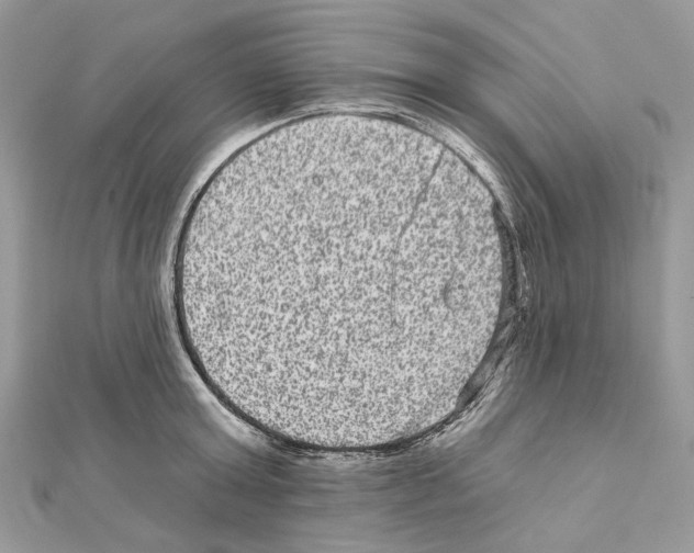 X0000111640803200908281156