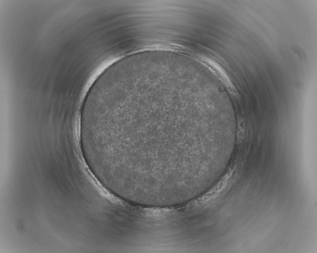 X0000111640804200908281156