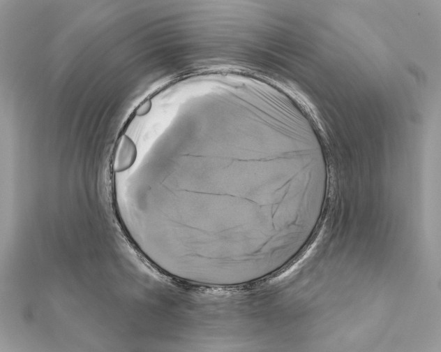 X0000111640806200908281156