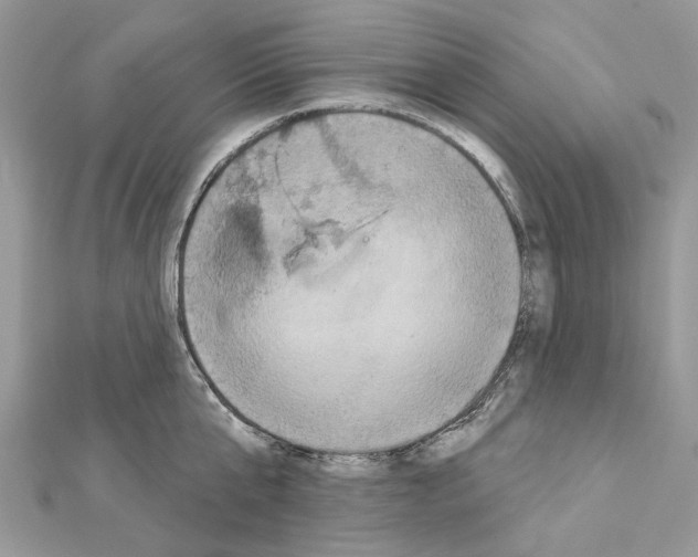 X0000111640807200908281156