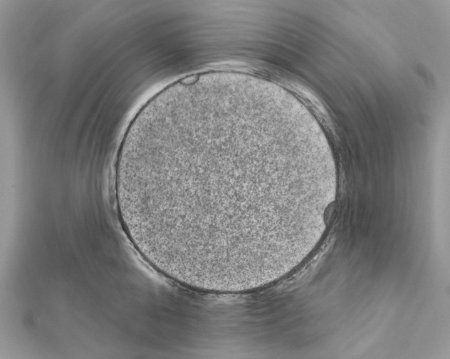 X0000111640808200908281156