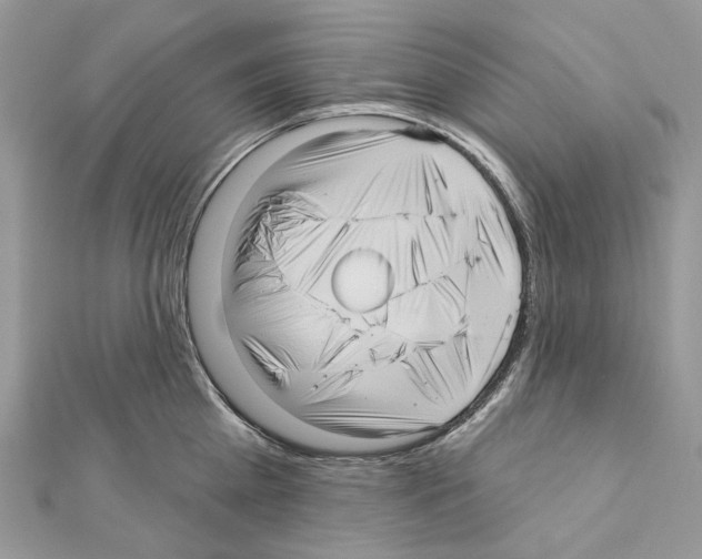 X0000111640809200908281156