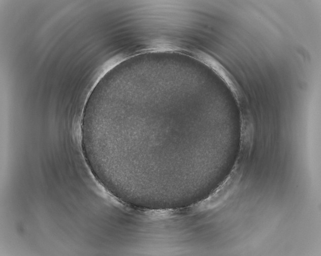 X0000111640810200908281156