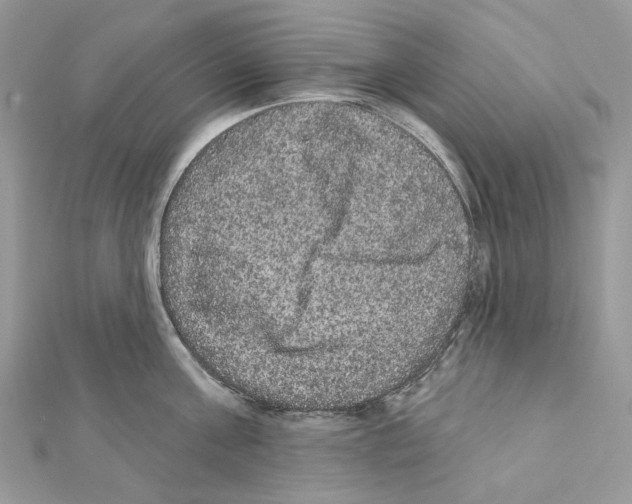 X0000111640811200908281156