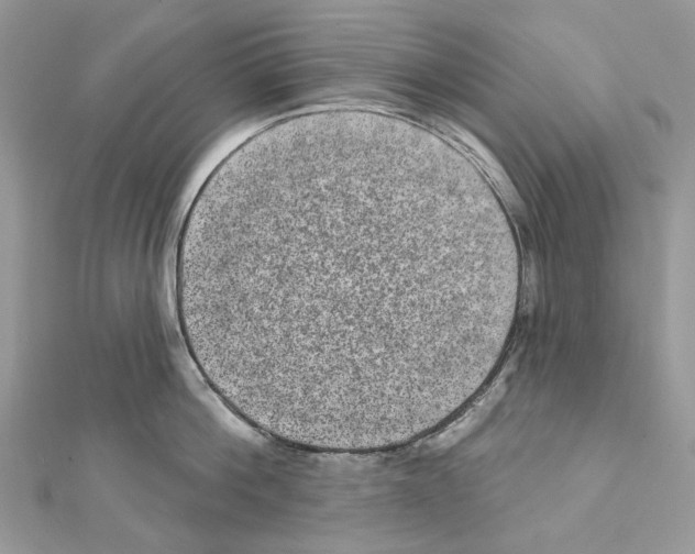 X0000111640812200908281156