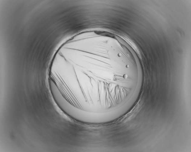 X0000111640813200908281156