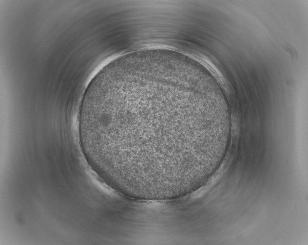 X0000111640814200908281156