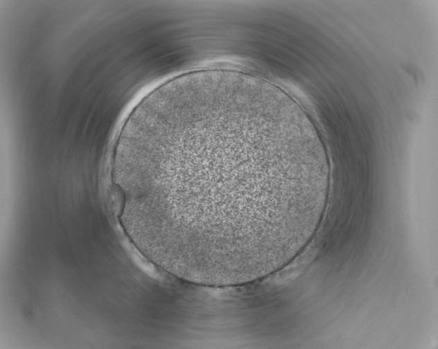X0000111640816200908281156