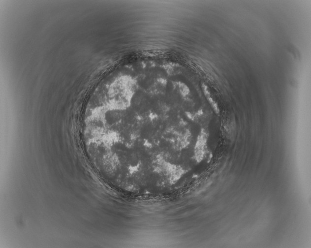 X0000111640817200908281155