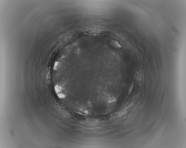 X0000111640818200908281155