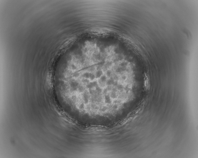 X0000111640819200908281155