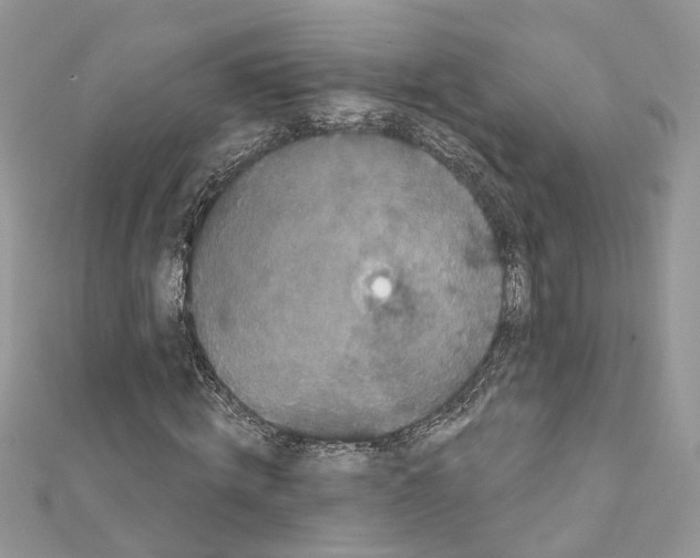 X0000111640820200908281155