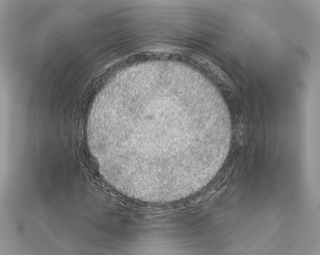 X0000111640821200908281155