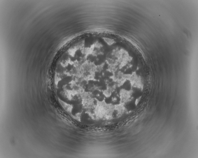 X0000111640823200908281155