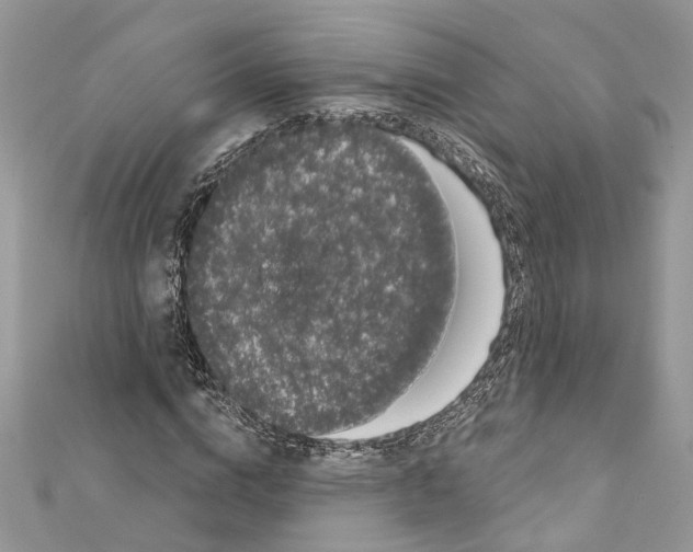 X0000111640824200908281155
