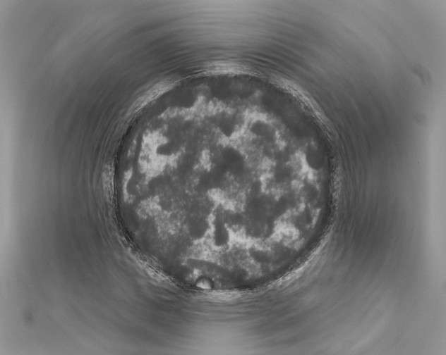 X0000111640825200908281155