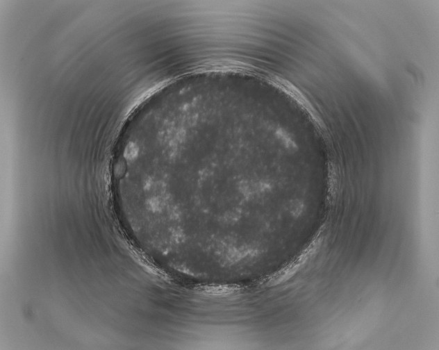 X0000111640826200908281155